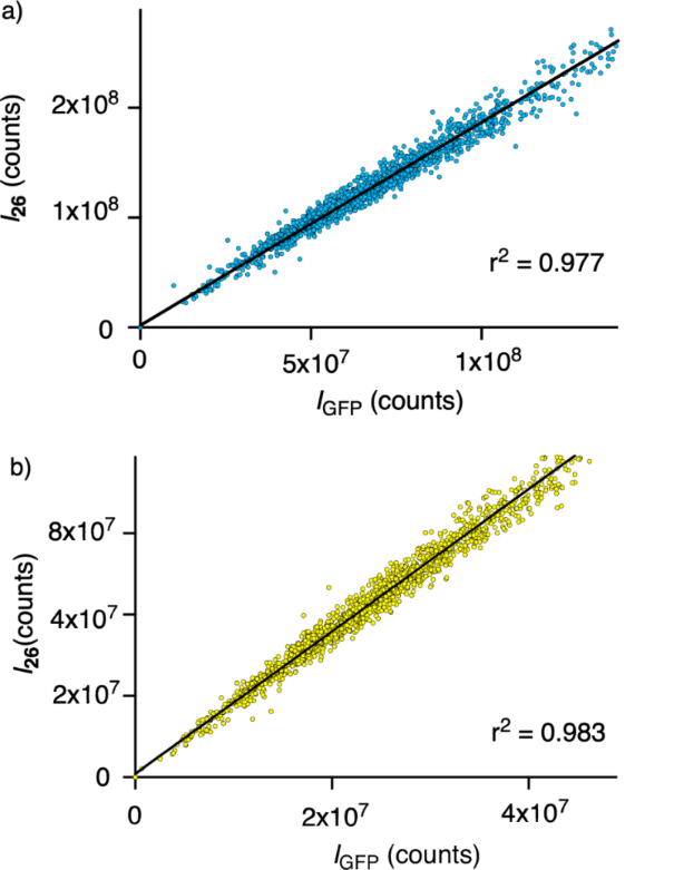 [1860-5397-16-167-8]