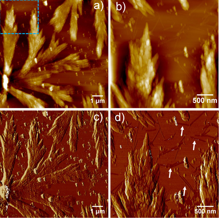 [1860-5397-16-168-2]