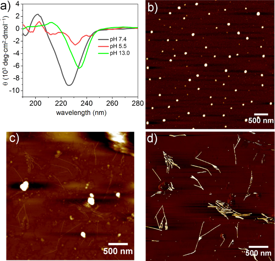 [1860-5397-16-168-3]