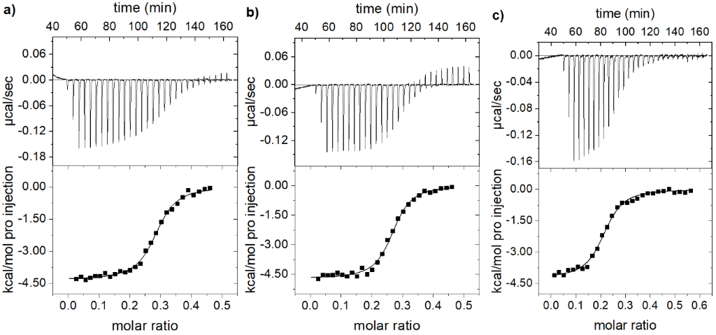 [1860-5397-16-170-6]