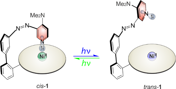 [1860-5397-16-179-1]