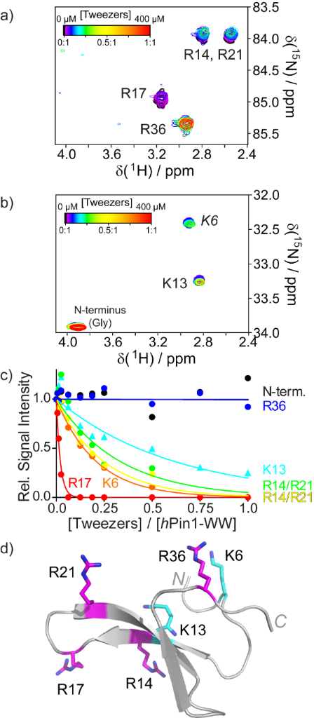 [1860-5397-16-203-6]