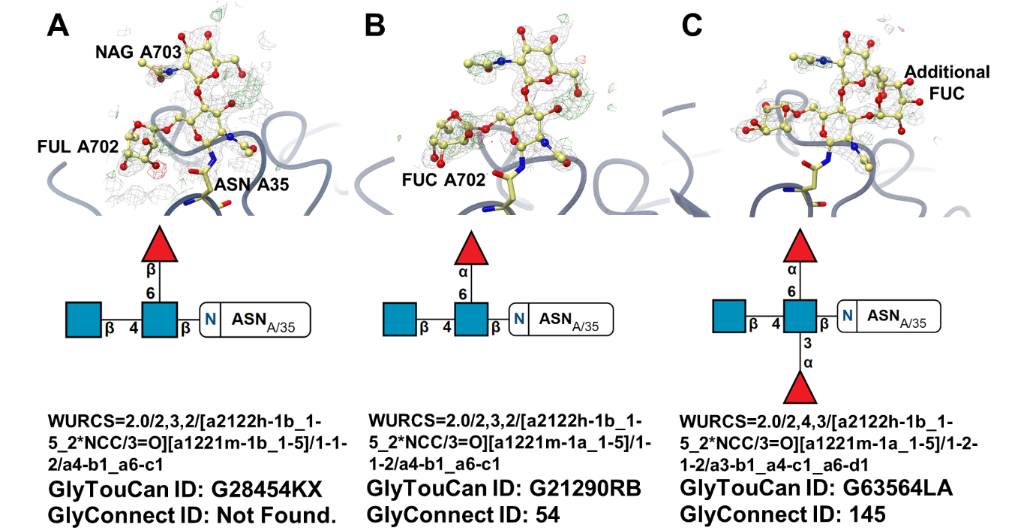 [1860-5397-16-204-4]