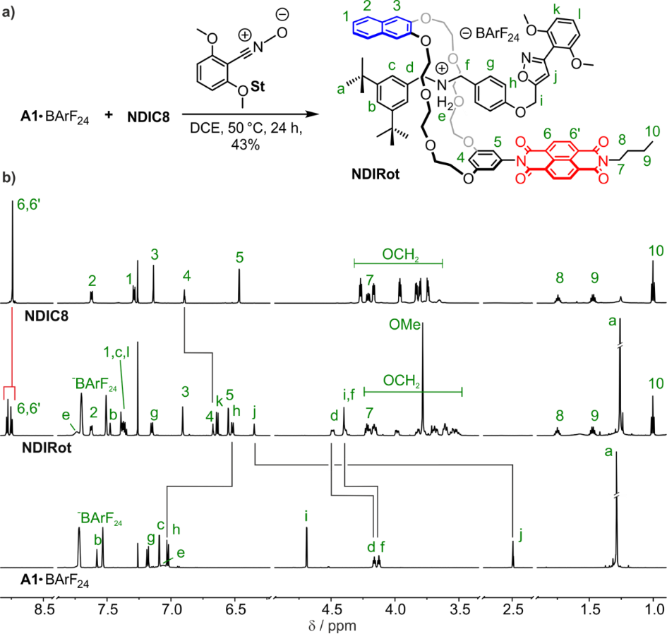 [1860-5397-16-209-3]