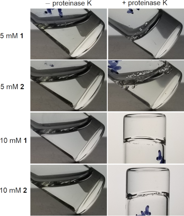 [1860-5397-16-221-3]