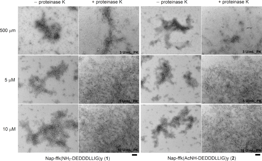 [1860-5397-16-221-4]