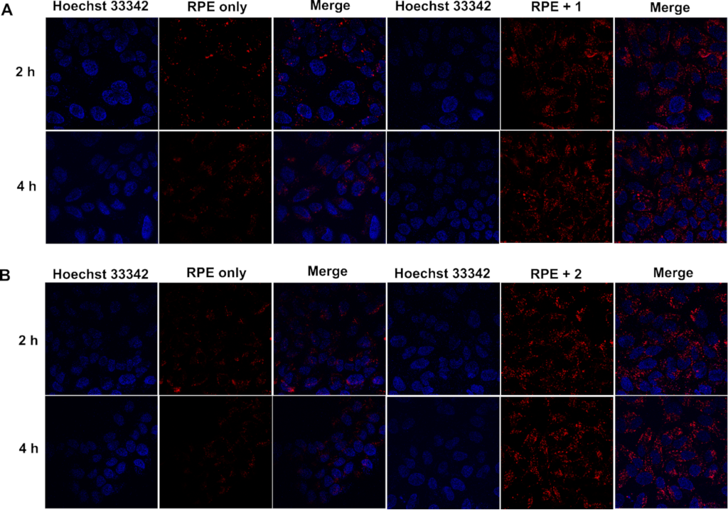 [1860-5397-16-221-6]