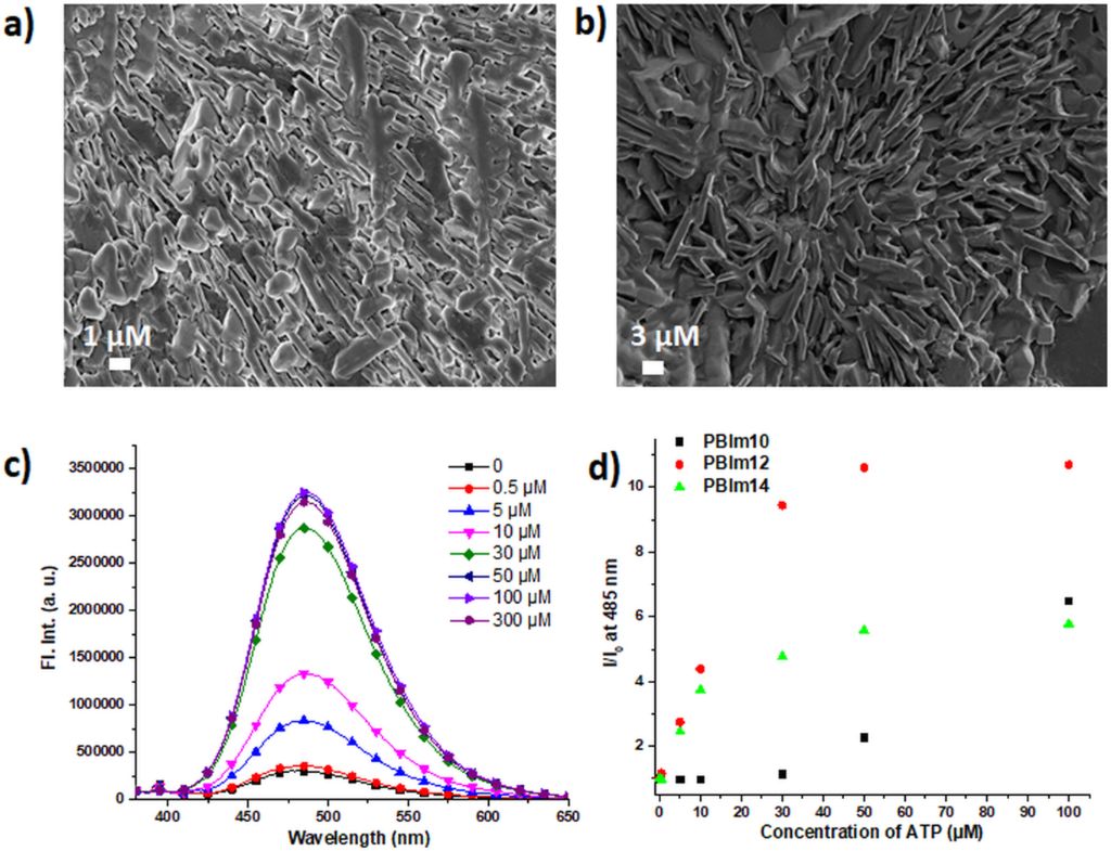 [1860-5397-16-223-3]