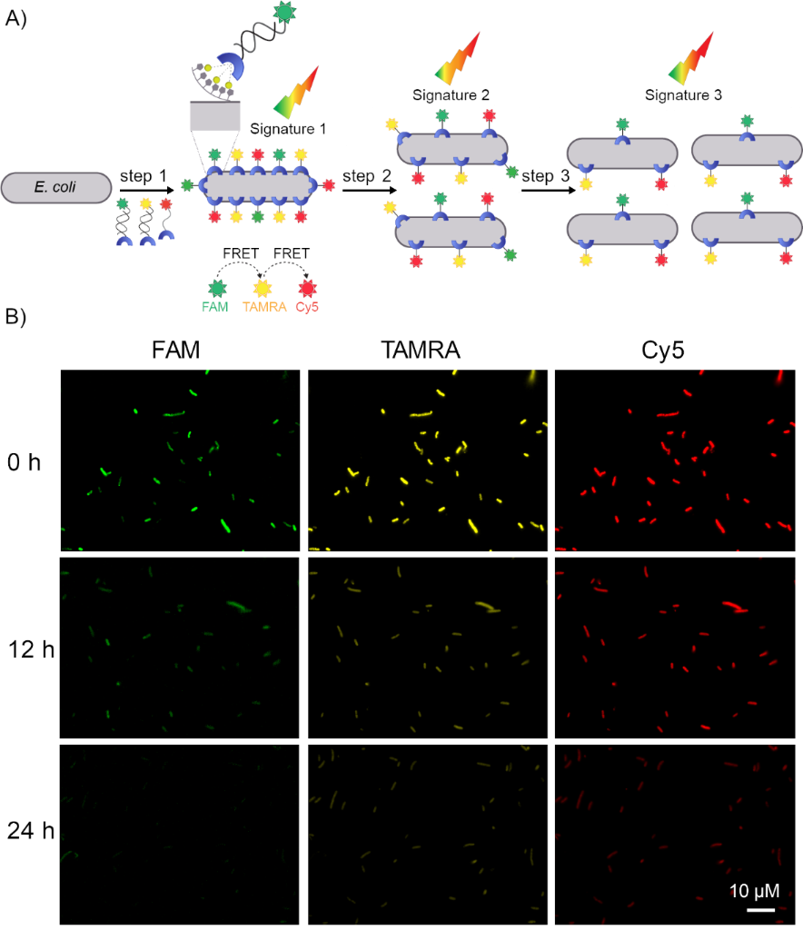 [1860-5397-16-225-3]