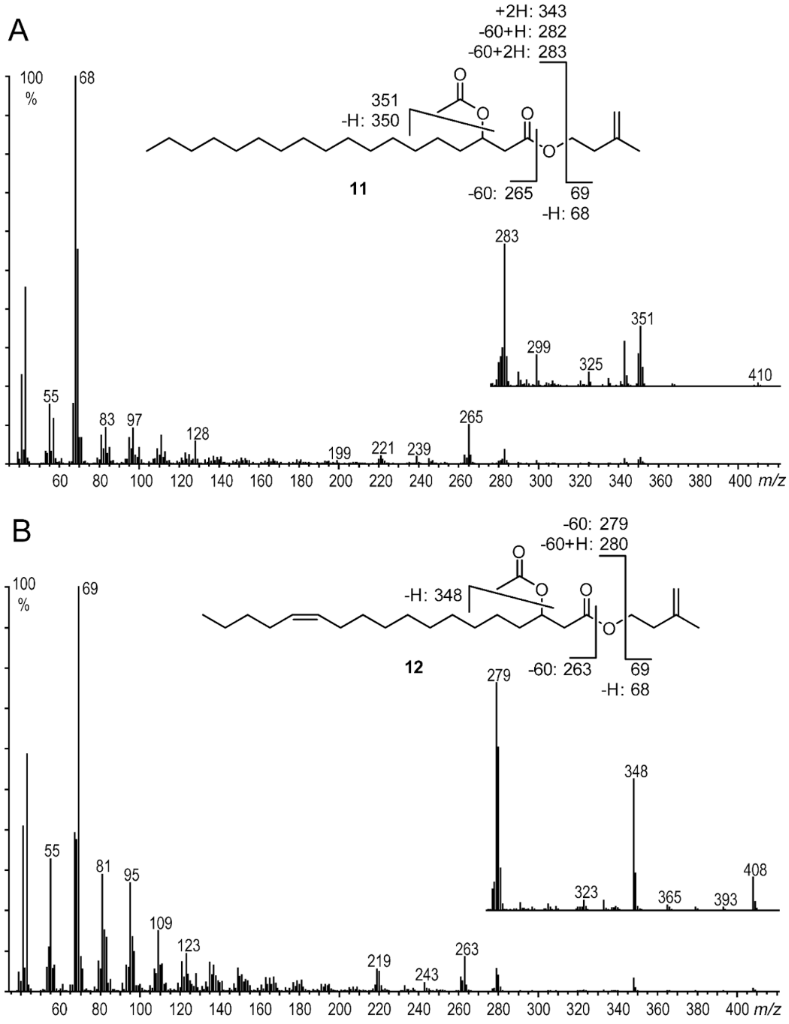 [1860-5397-16-228-5]