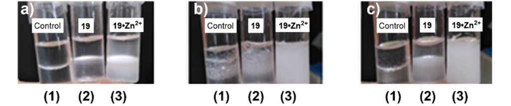 [1860-5397-16-229-3]