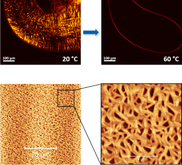 [1860-5397-16-232-8]