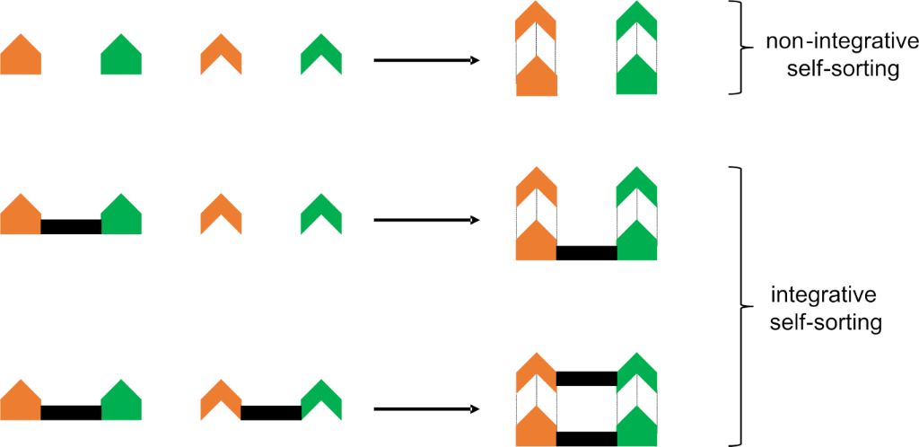 [1860-5397-16-233-2]