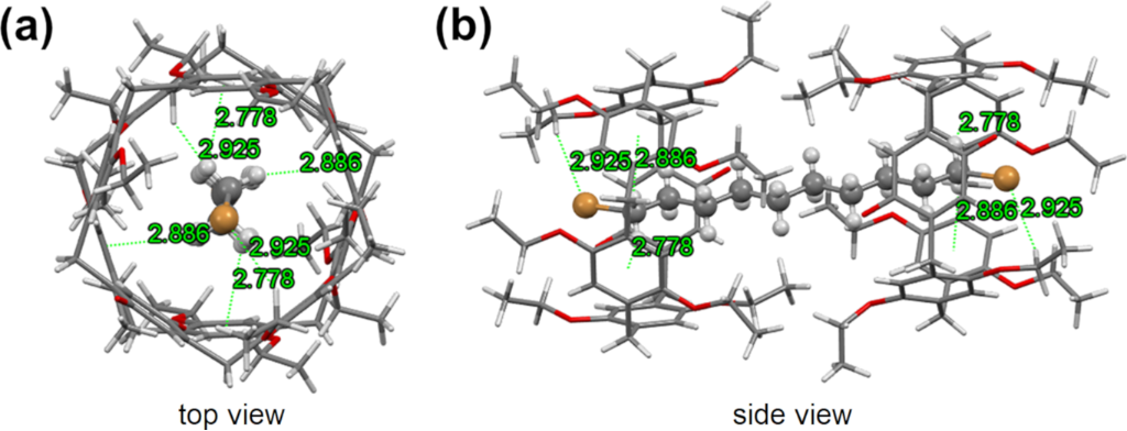 [1860-5397-16-245-1]