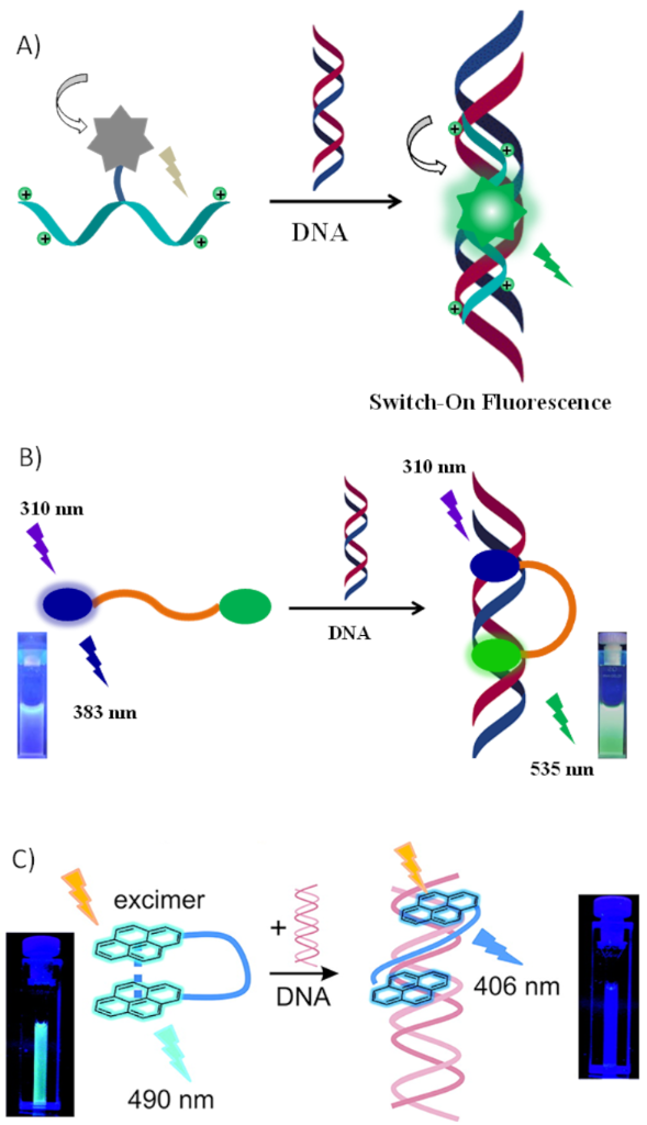 [1860-5397-16-247-1]