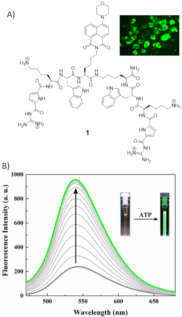 [1860-5397-16-247-2]