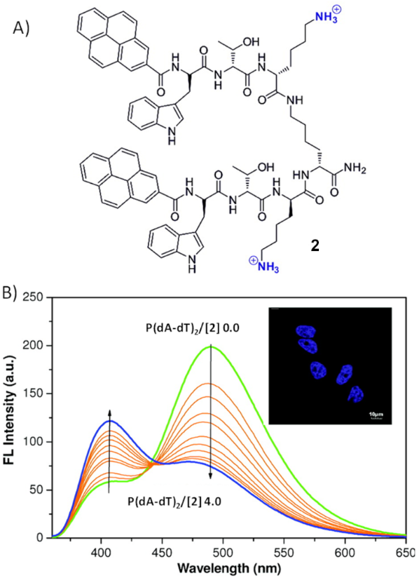 [1860-5397-16-247-3]