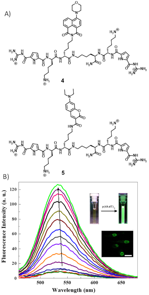 [1860-5397-16-247-5]