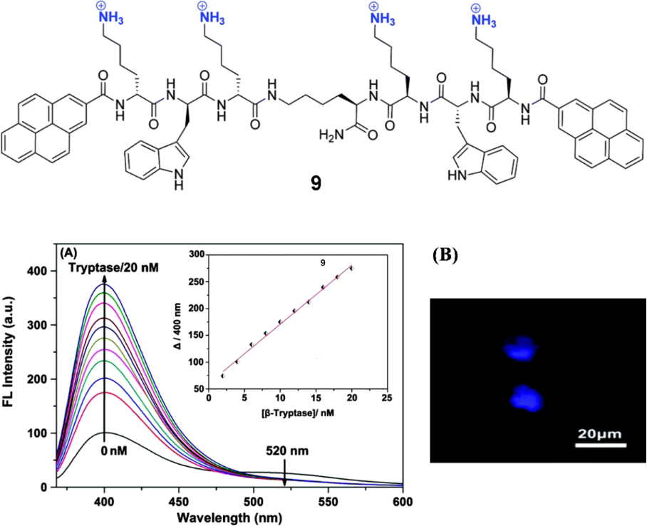 [1860-5397-16-247-8]