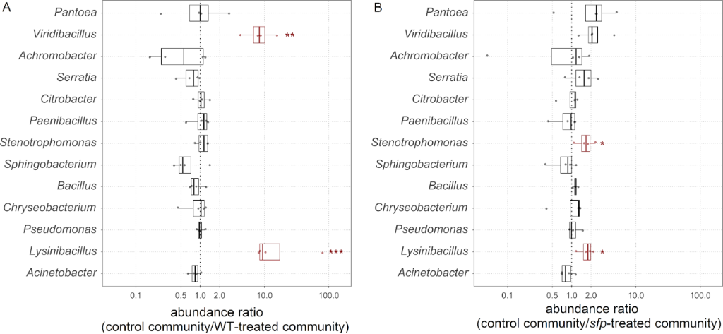[1860-5397-16-248-5]