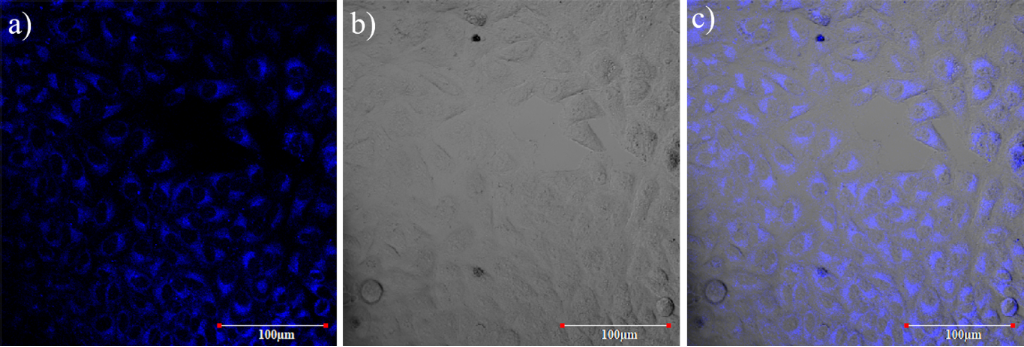 [1860-5397-17-101-7]