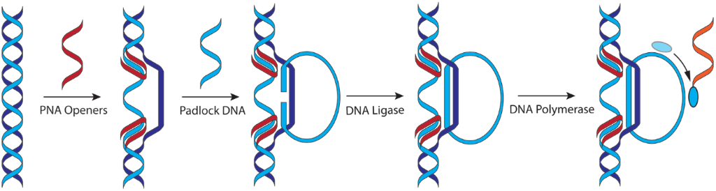 [1860-5397-17-116-22]