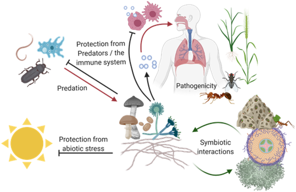 [1860-5397-17-124-1]