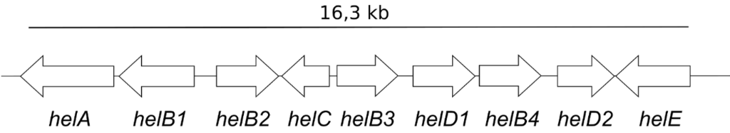 [1860-5397-17-124-8]