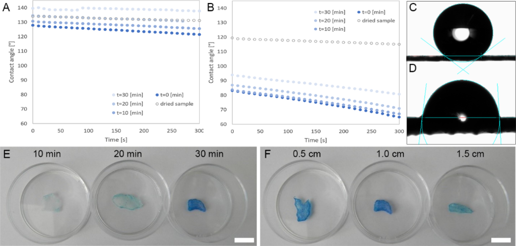 [1860-5397-17-136-1]