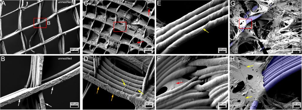 [1860-5397-17-136-3]