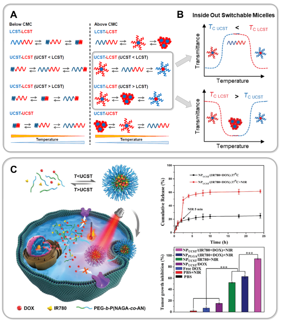 [1860-5397-17-138-10]
