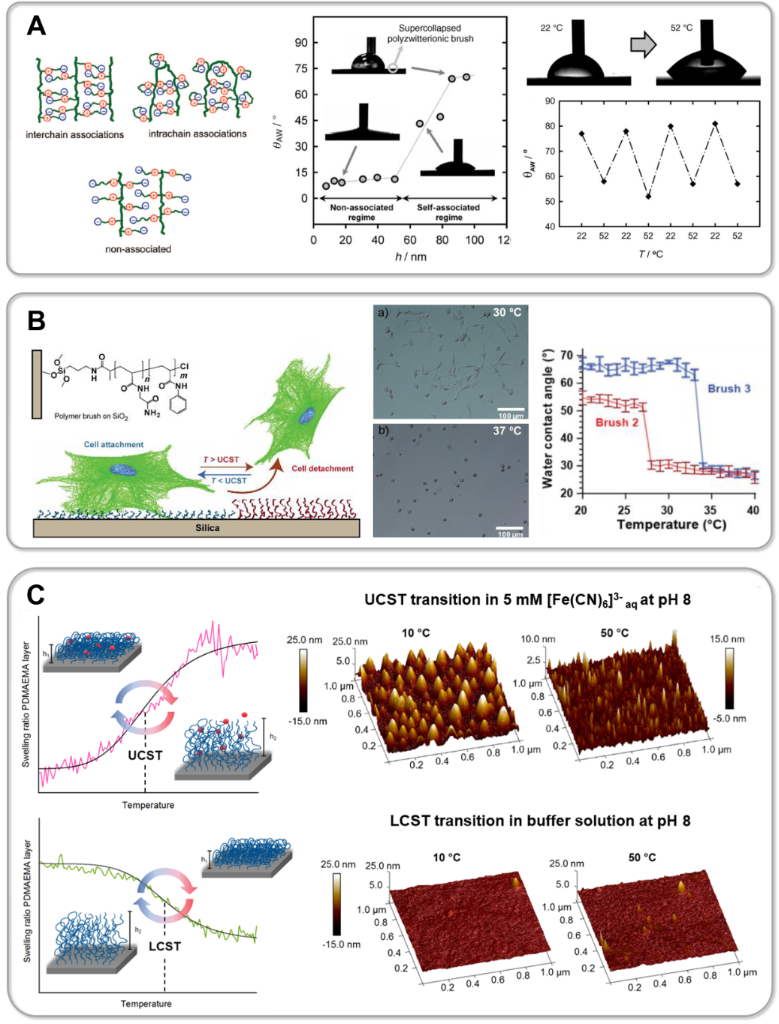 [1860-5397-17-138-11]