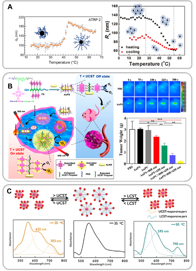 [1860-5397-17-138-12]