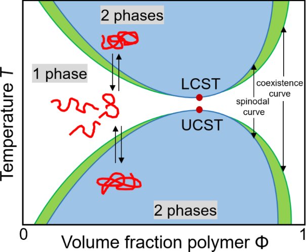 [1860-5397-17-138-3]