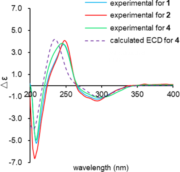[1860-5397-17-141-4]