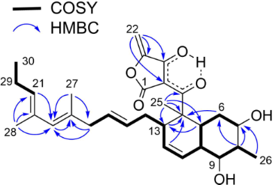 [1860-5397-17-141-6]