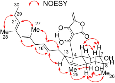 [1860-5397-17-141-7]