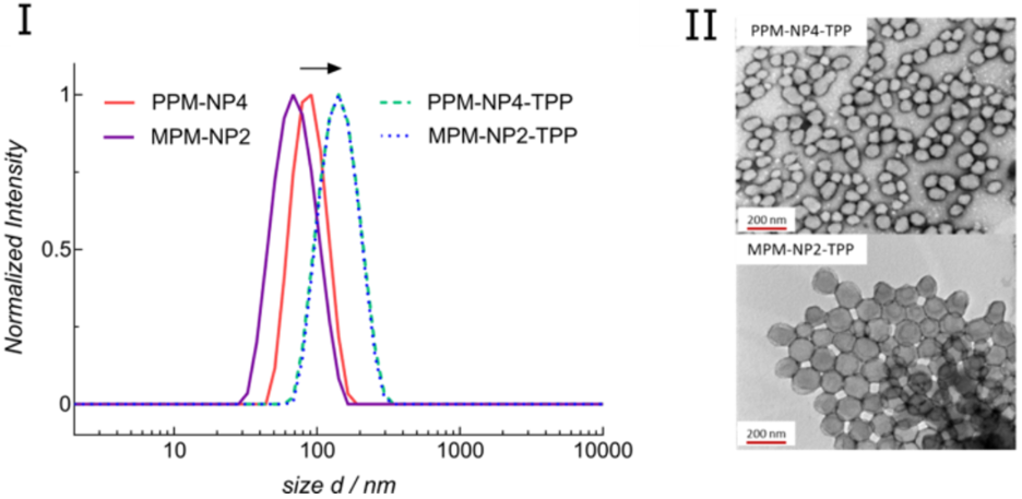 [1860-5397-17-148-1]