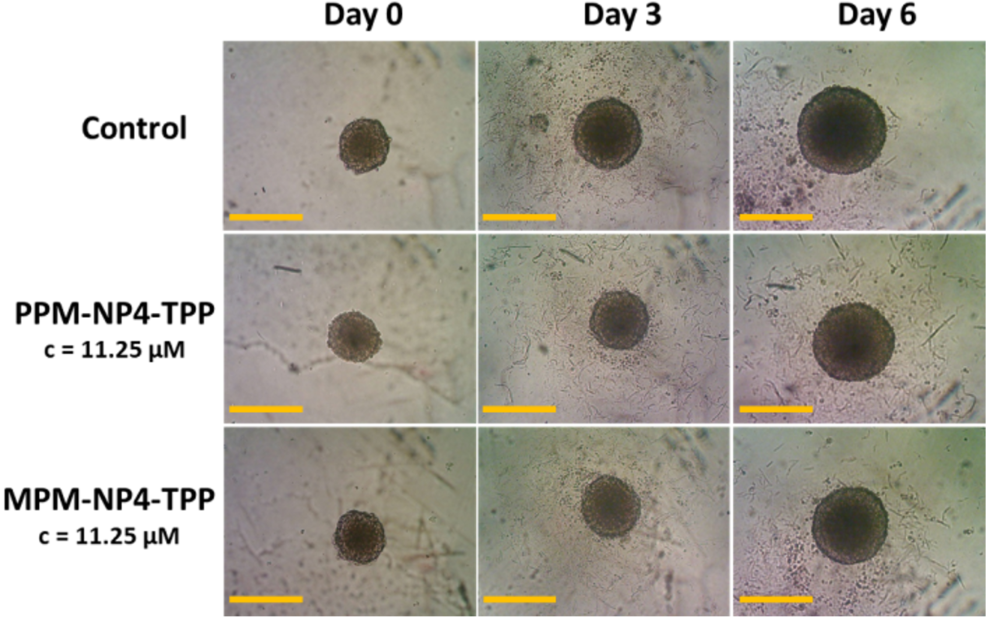 [1860-5397-17-148-4]