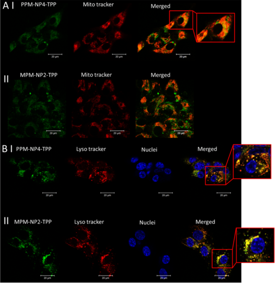 [1860-5397-17-148-6]