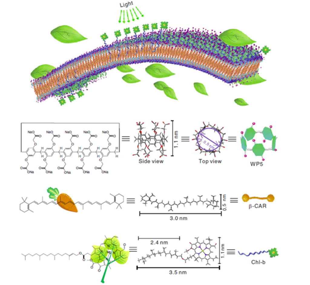 [1860-5397-17-15-18]