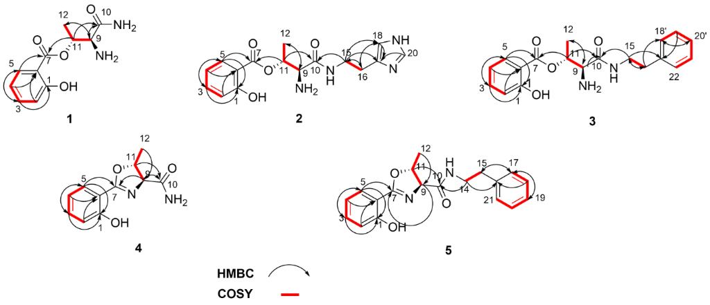 [1860-5397-17-156-2]