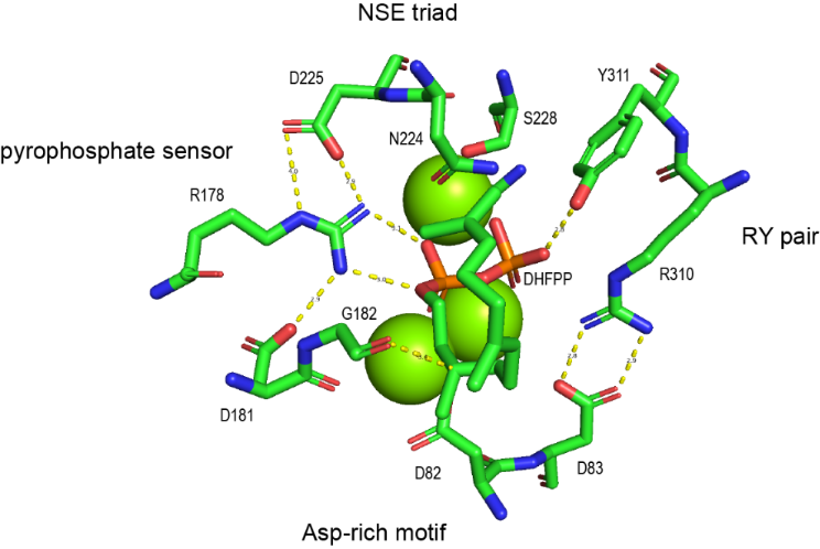 [1860-5397-17-161-1]