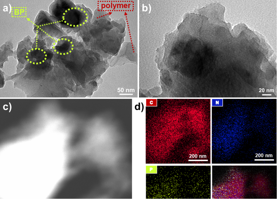 [1860-5397-17-164-7]