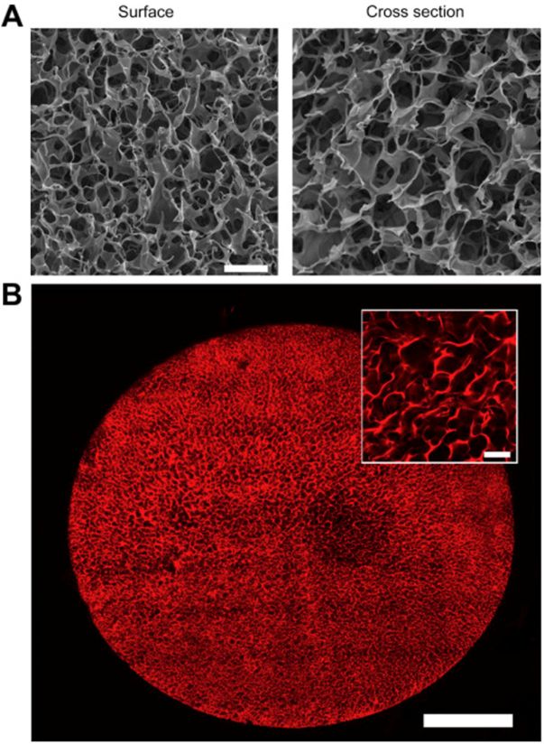 [1860-5397-17-171-2]