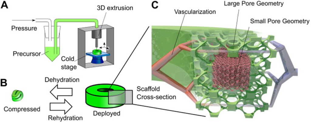 [1860-5397-17-171-3]