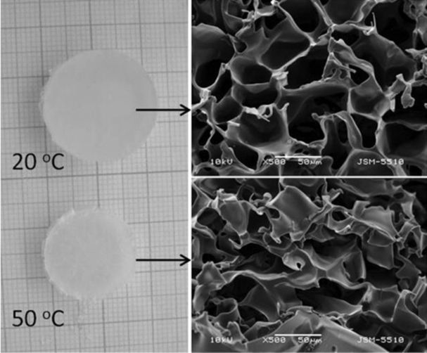 [1860-5397-17-171-5]