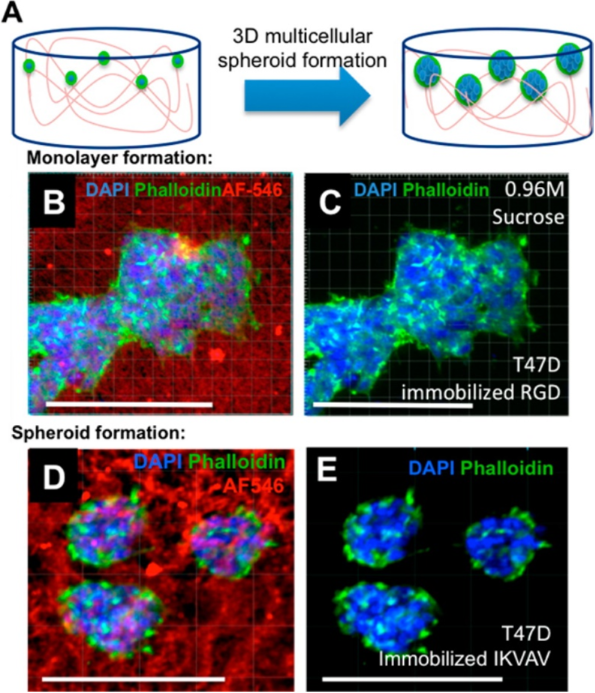 [1860-5397-17-171-6]