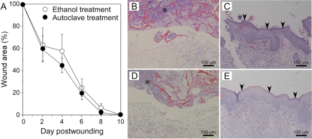 [1860-5397-17-171-8]