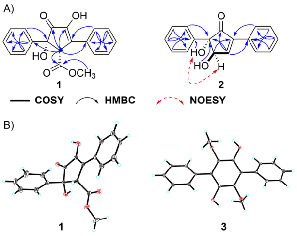 [1860-5397-18-101-2]